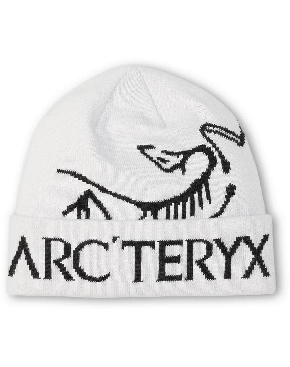 Arc'teryx Bird Word Toque 'Orca'